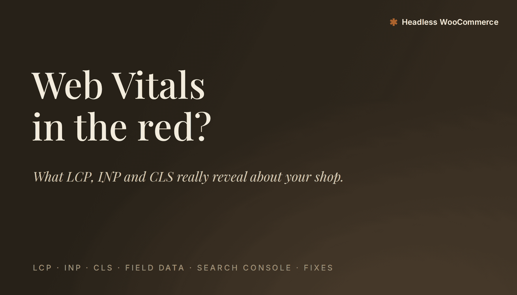 Core Web Vitals for WooCommerce: what LCP, INP and CLS reveal about your shop