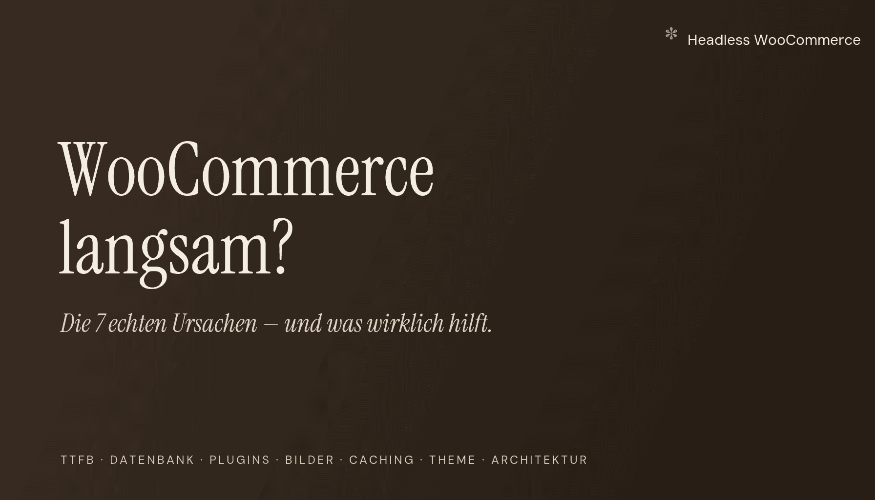WooCommerce langsam? Die 7 echten Ursachen — und was wirklich hilft