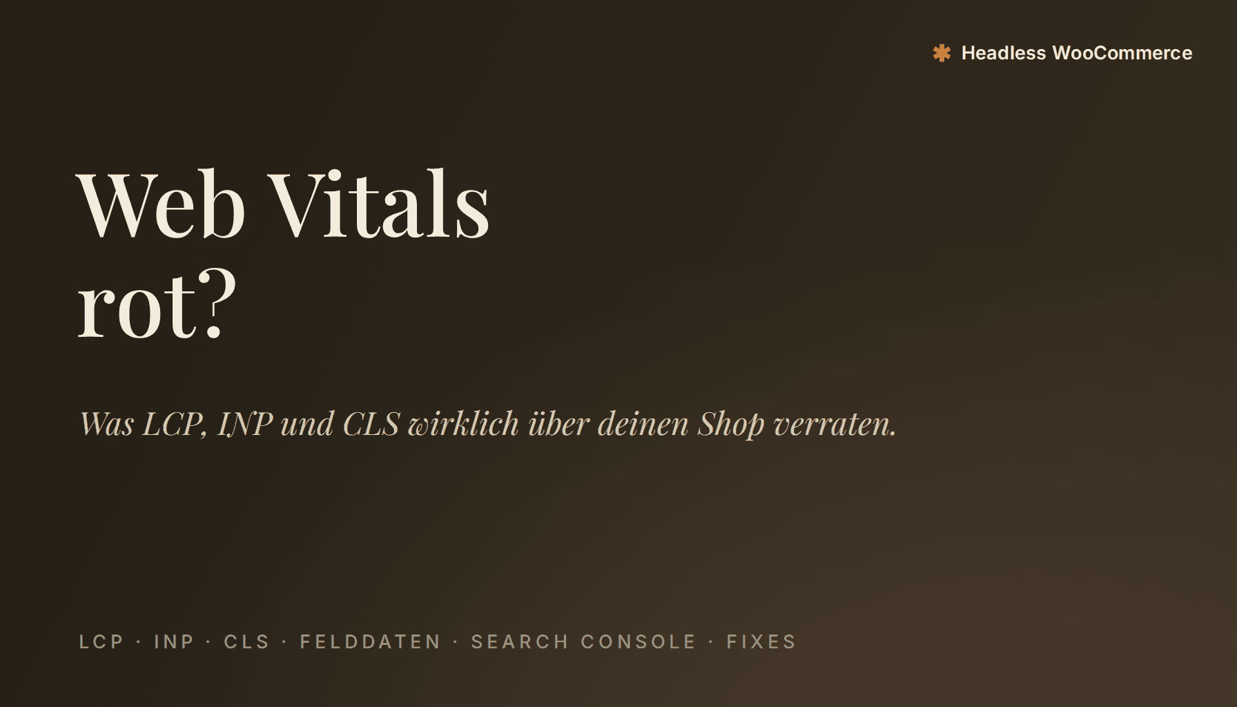 Core Web Vitals für WooCommerce: Was LCP, INP und CLS über deinen Shop verraten